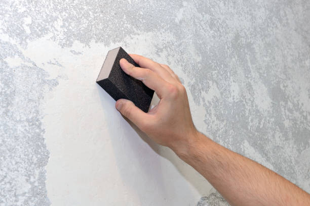  Fairview Park, OH Mold Removal Pros