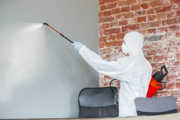 Best Biohazard Mold Removal  in Fairview Park, OH