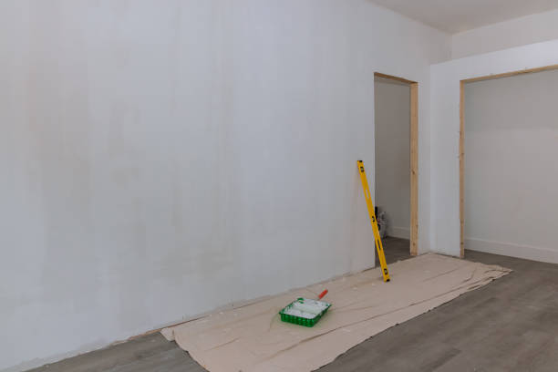 Best Mold Damage Restoration  in Fairview Park, OH